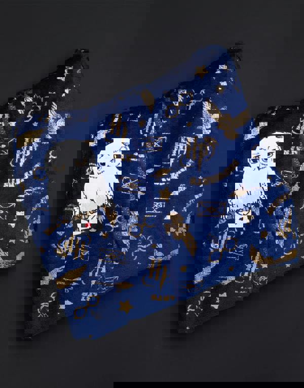 Harry Potter Girls Blue Hedwig Applique Onesie