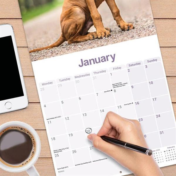 Rhodesian Ridgeback Calendar 2027, Wall Calendars, Month To View, Dogs, Gift