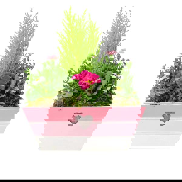 Mother’s Day Pink Wooden Trough