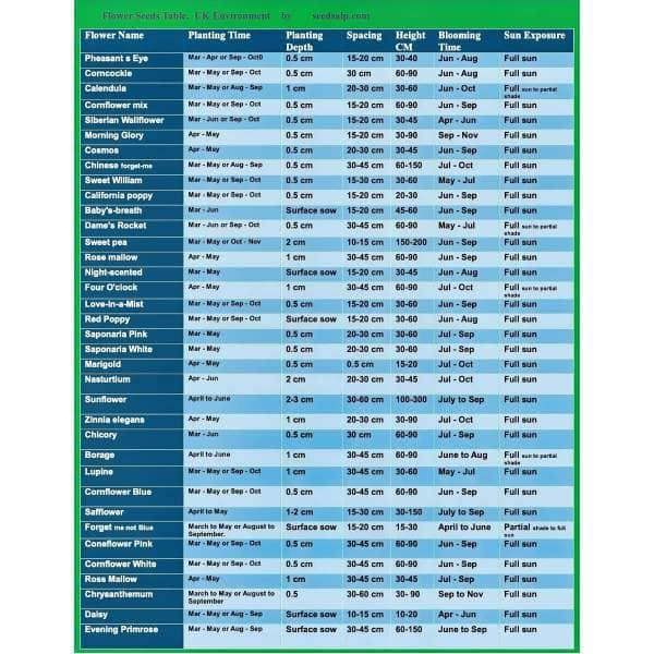 Automated Flower Planting Calendar – Smart gardening guide with month-by-month sowing reminders