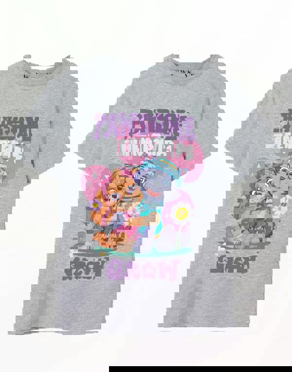 Paw Patrol Unisex Kids Grey Pawsome Friendships Short Sleeved T-Shirt