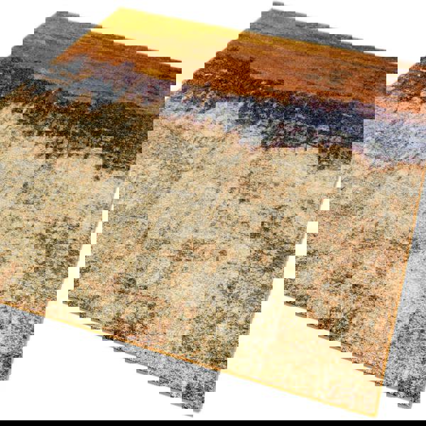 Asiatic Nova NV04 Distress Orange Rug