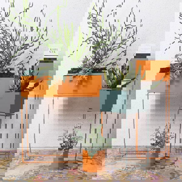 MI Indoor Plant Stand Set-Weilai Concept-Orange*2 + Blue*1-Weilai Concept