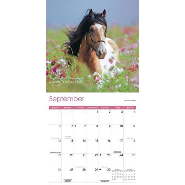 Horse Lovers Calendar 2027, Wall Calendars, Month To View, Animals, Gift