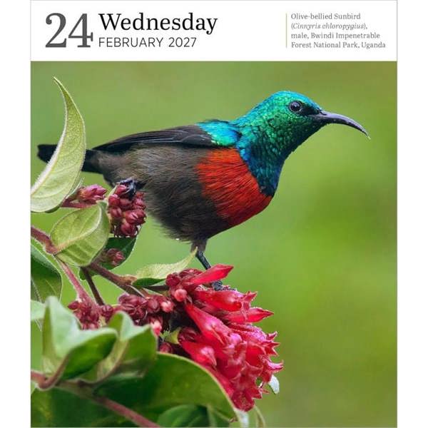 Audubon, Nature Gallery Refill Pack 2027, Desk Calendars, Day To View, Natural World, Gift