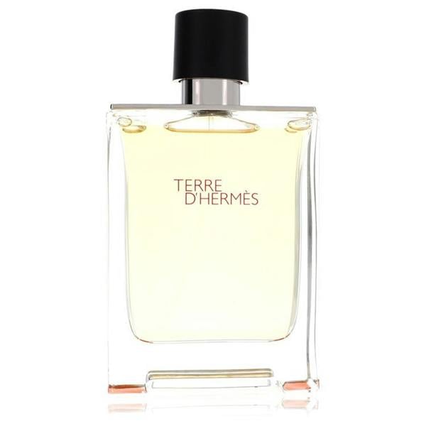 Hermès Hermes Terre DHermes Eau De Toilette 100 ml