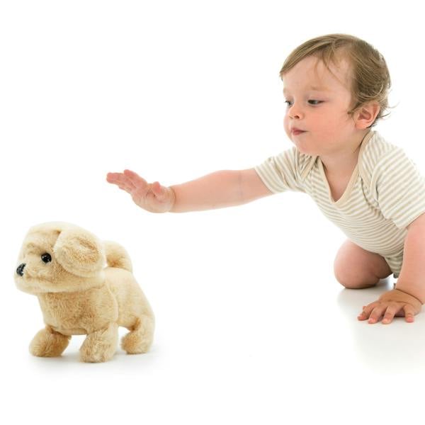 Pugs at Play Goldie Interactive Walking Dog Plush Toy