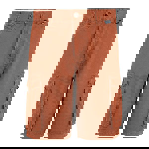 Regatta Mens Shorebay II Cargo Shorts - Brick - 