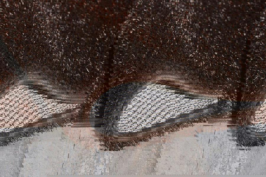 Smart Living Polyester Shaggy Rug - Brown