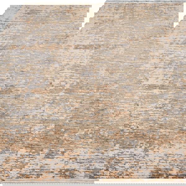 Asiatic Anders AN03 Distressed Rug