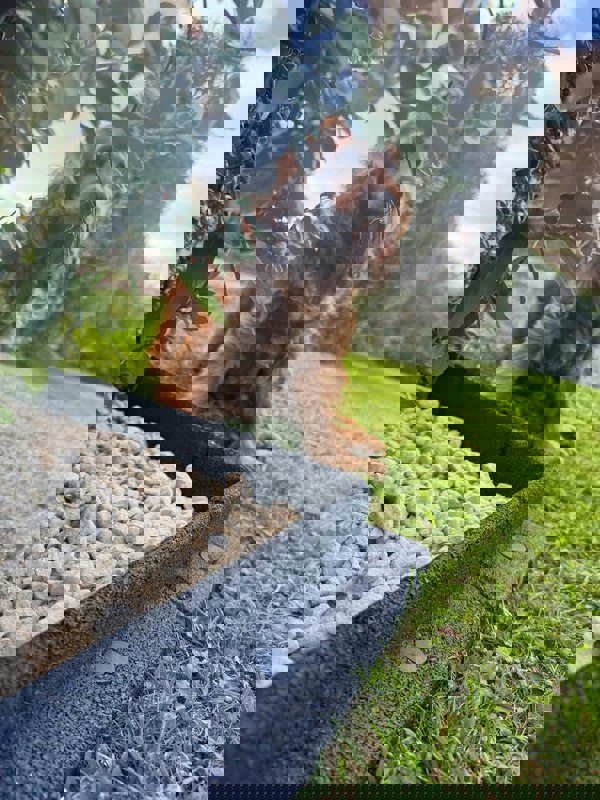 FlexiBorder Outside Corner Box of 2 Grey