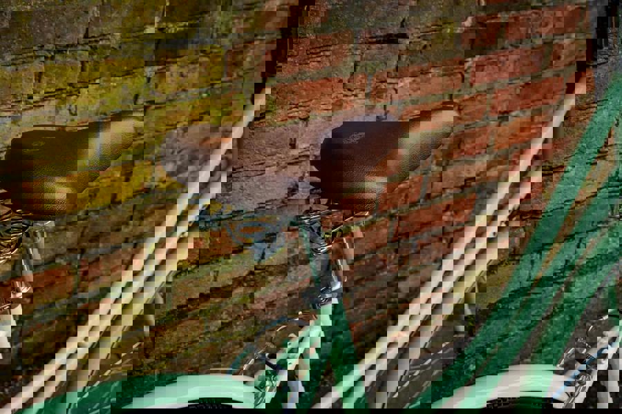 Dawes Cambridge Heritage Bike