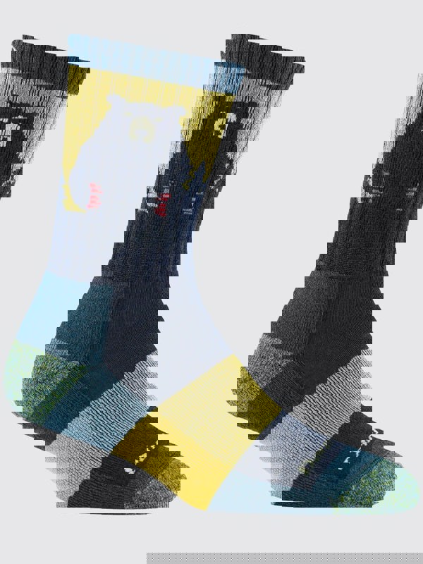 Darn Tough 1970 Bear Town Micro Crew Lightweight Hiking Cushion Women's Socks