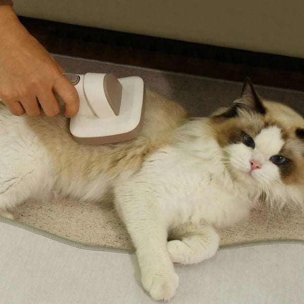 6 in 1 Pet Grooming Kit Vacuum with Brushes Comb Pet Grooming Living and Home