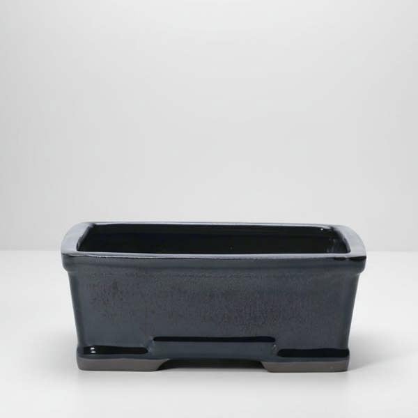 18cm Glazed Bonsai Pot | Rectangle | 18cm x 14cm x 6cm | Black - Yorkshire Bonsai
