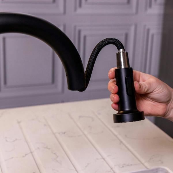 Flode Runda | Kitchen Sink Mixer with Pull out Spray | Matt Black | Round Head