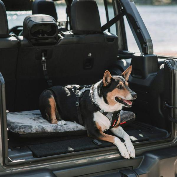 EzyDog Click ISOFIX Dog Seatbelt