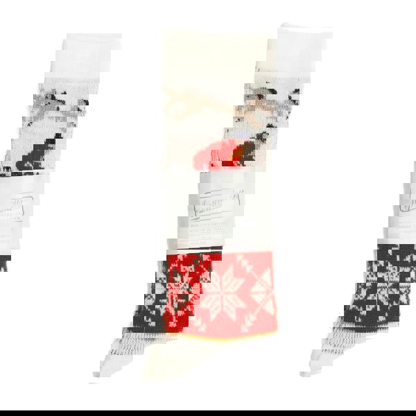 Anonymous Ism Ski JQ Crew Men's Off White Socks