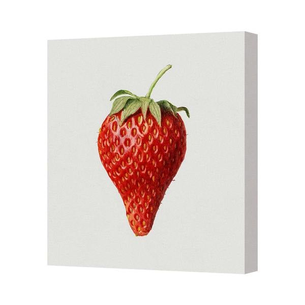Benjamin Tate Design Strawberry Canvas Art Print Contemporary Wall Decor Handmade UK