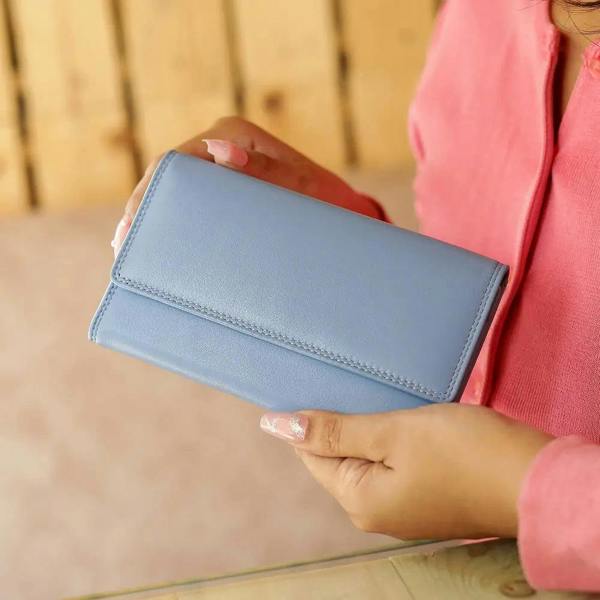 Person holding a blue wallet with a blurred background