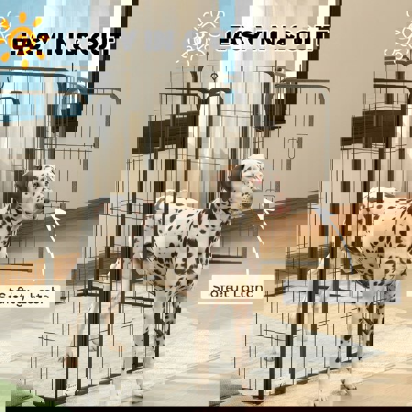 D06-250V00BK