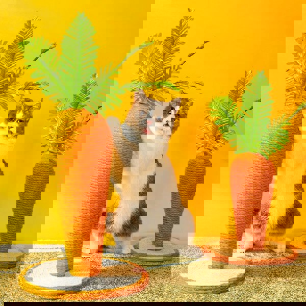 Calo's Carrot, Cat Toy, Hemp Rope, Cat Scratcher-Weilai concept-Weilai Concept