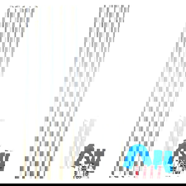 Kiam CYCLONE® Gutter Vacuum System 3600W Polypropylene (Black)