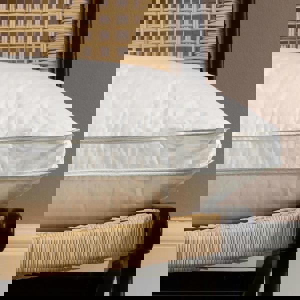 Soak&Sleep 80% Goose Down Pillows