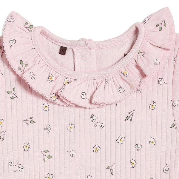 Mini Cuddles Baby Girls 3pk Floral Printed Bodysuits, Multicolour