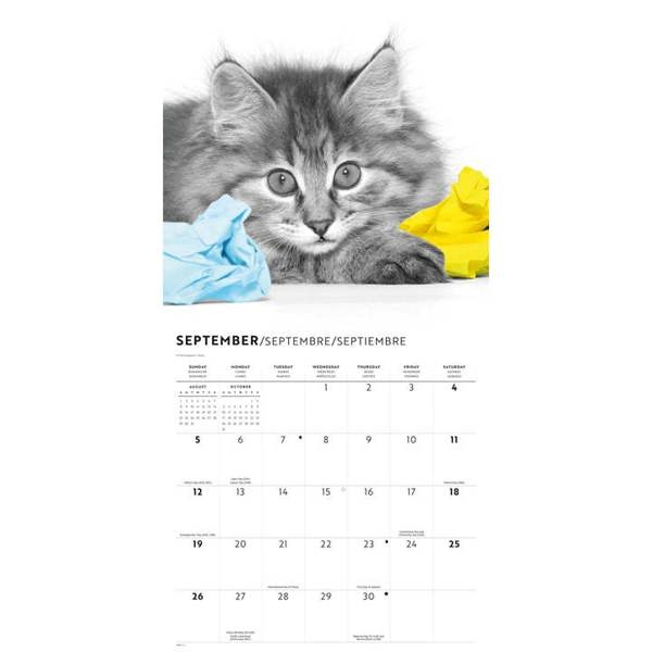 Cats Calendar 2027, Wall Calendars, Month To View, Cats, Gift