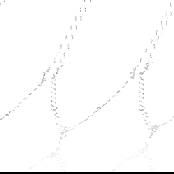 Say It With Capricorn Necklace with CZ Stones - Silver Plated