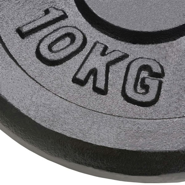 Berkfield Weight Plates 2 pcs 2x10 kg Cast Iron