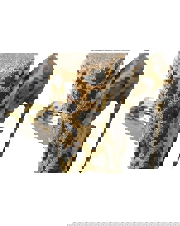 155595533.jpg