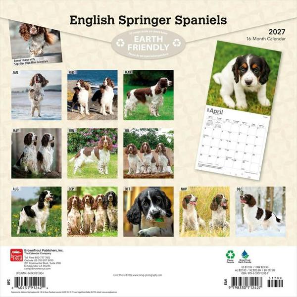 English Springer Spaniels Calendar 2027, Wall Calendars, Month To View, Dogs, Gift