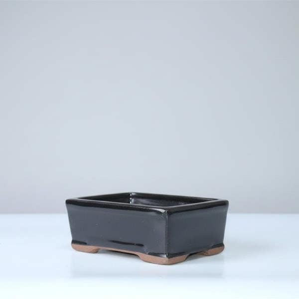 Yorkshire Bonsai 16cm Glazed Bonsai Pot | Rectangle | 16cm x 13cm x 6cm | Black