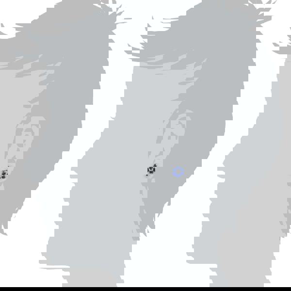 19873 Classic Floral Sapphire & Diamond Cluster Stud Earrings in 9ct White Gold 2