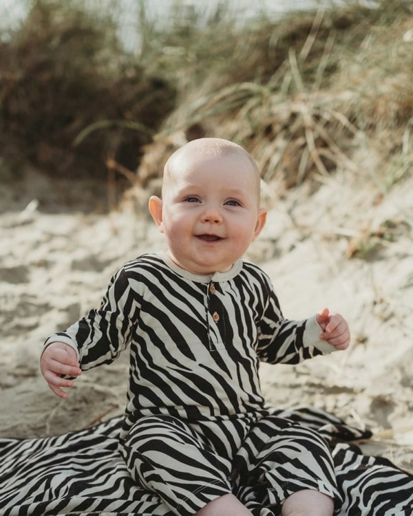 Multicolour Zebra Streak Print Romper - image 1