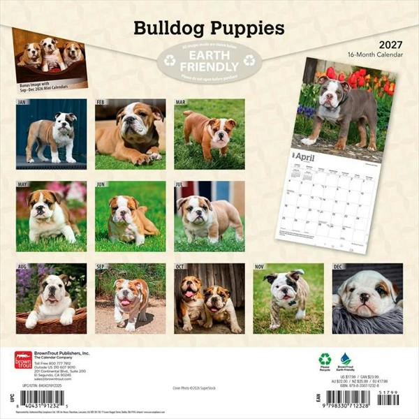 Bulldog Puppies Calendar 2027, Wall Calendars, Month To View, Dogs, Gift