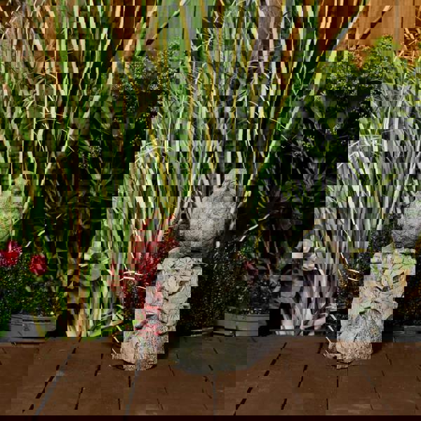 Robin on Post Statue | Bird on Post Stone Garden Ornament