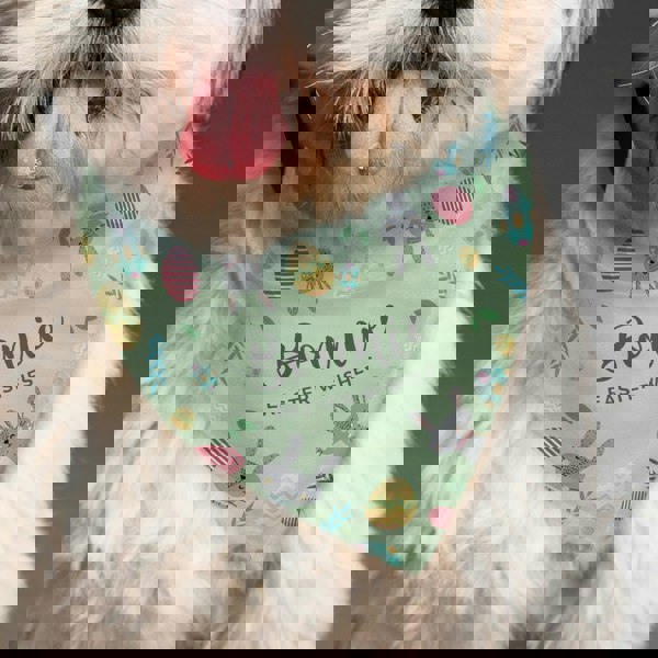 Personalised Memento Company Personalised Easter Dog Bandana