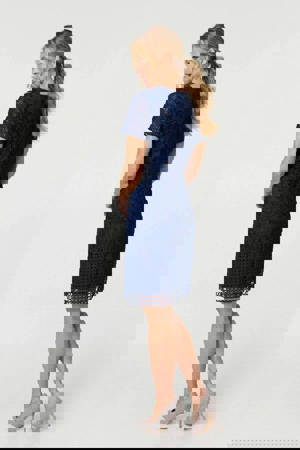 Navy | Sheer Lace Layered Knee Length Dress