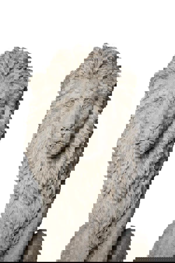 Pair of stunning large sitting lion statues