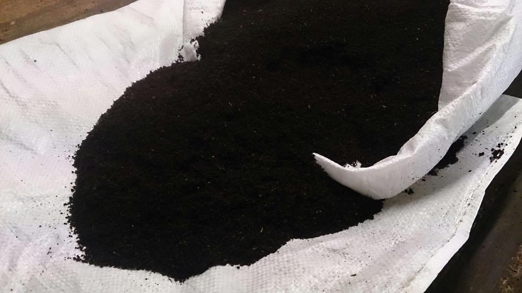 Worm Soil