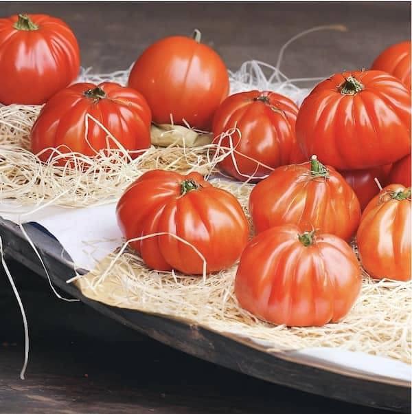 Marmande VR tomato seeds packet showing large beefsteak variety seeds ready for UK planting