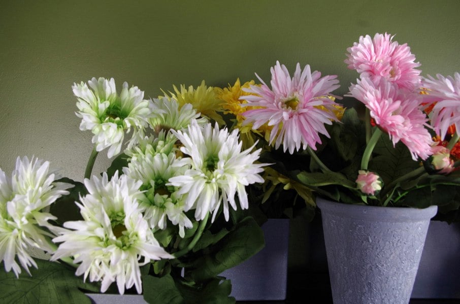 Leaf 33cm Artificial Potted Daisy White