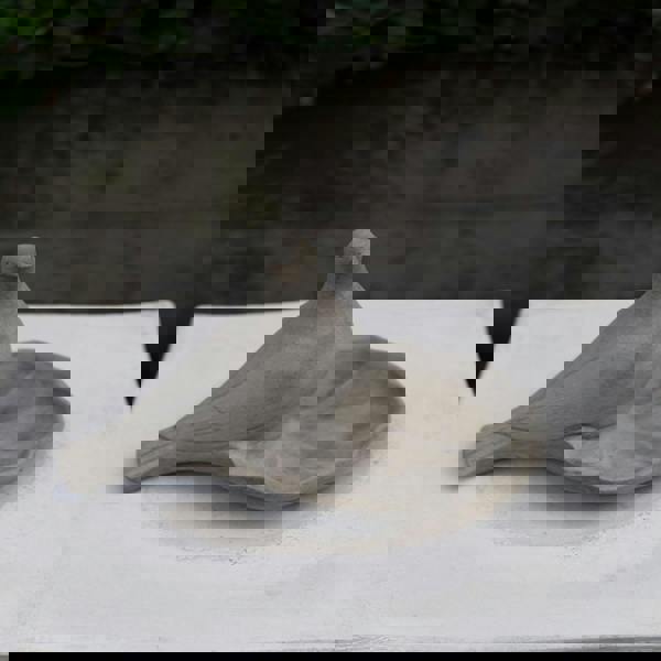 Floor level Birdbath with Perching Pigeon / Bird feeder