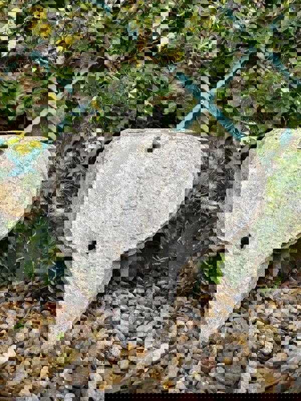 Face Planter Wall Plaque/Wall Pot