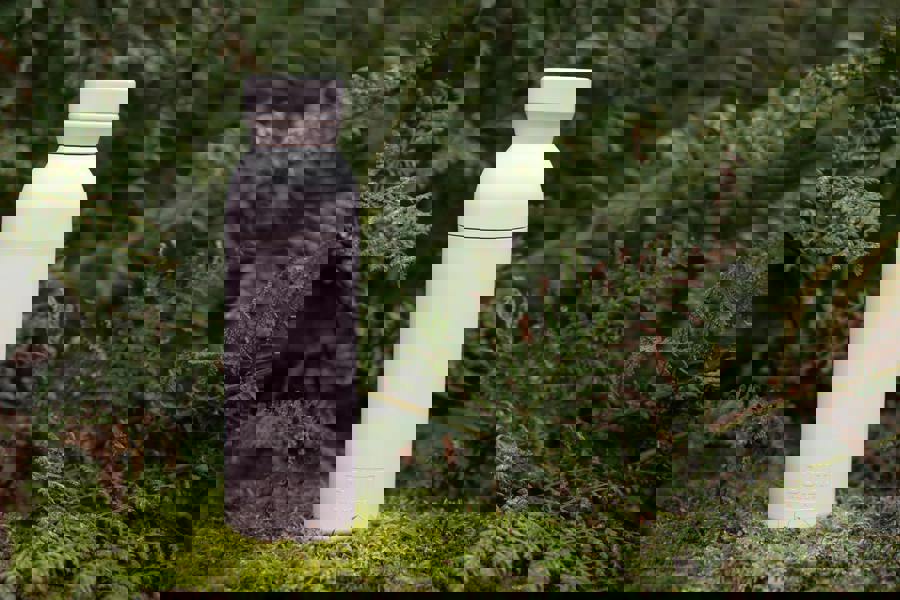 Built New York BUILT Planet Bottle, 500ml Recycled Reusable Water Bottle with Leakproof Lid - Pale Pink