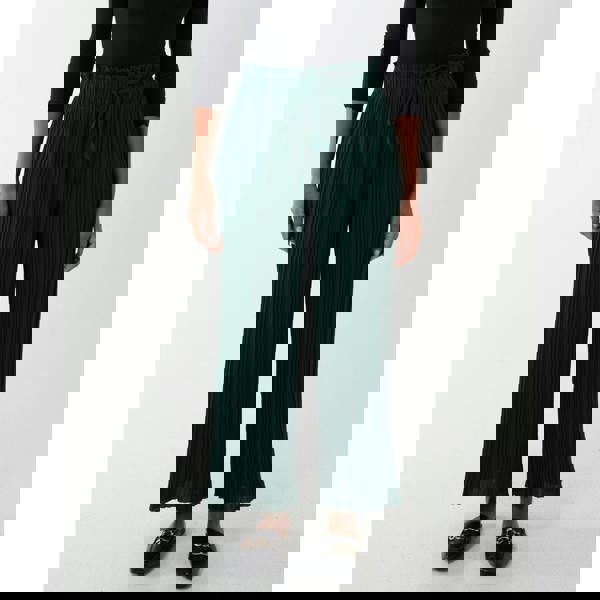 Blue Vanilla Wide Leg Pleated Trousers