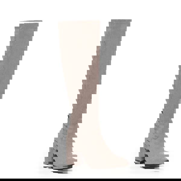 VIVA Quinn: Womens Knee High Heeled Long Boots